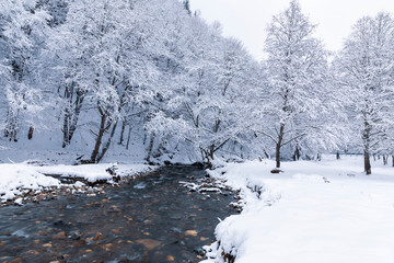 Winter landscape with a river and frosty trees