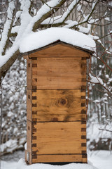bee hive in winter - bee breeding (Apis mellifera) close up