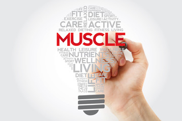 Muscle bulb word cloud with marker, health concept