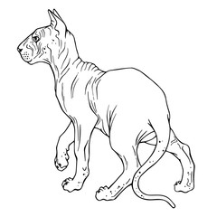 Group of vector illustrations on the pets theme: cats of various breeds and colors. Cartoon character. Domestic animal. Isolated objects for your design.