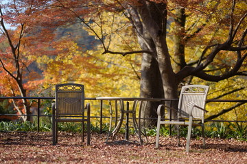 Table and Chairs in the fall