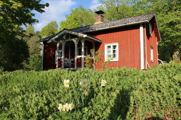 old cabin in the swedish woods
