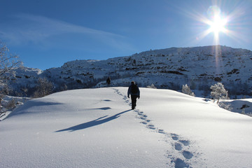 tourist taking a snow hike towards preikestolen, Norway