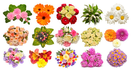 Collection of flowers calendula, mallow, roses, daisies, lilies, dahlias, peonies, delphinium and other isolated on white background. Set, collage, love. Floral pattern, object. Flat lay, top view
