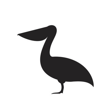 recommend clip art: Pelican silhouette. Isolated pelican on white background