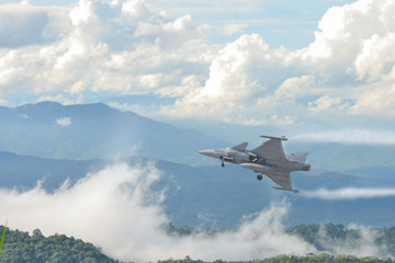 Fototapeta na wymiar Gripen fighter aircraft