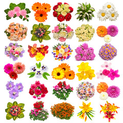 Collection of flowers marigold, pansies, roses, daisies, lilies, dahlias, daffodils and other isolated on white background. Set, collage, love. Floral pattern, object. Flat lay, top view