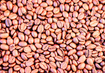 Coffee beans brown background - copy space for text.