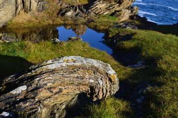 Waves Rock!