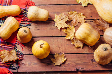 Autumn Pumpkin Thanksgiving Background - orange pumpkins over wooden table..fall season. autumn cozy still life.