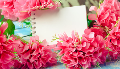 Flowers on a bright background Flat Lay