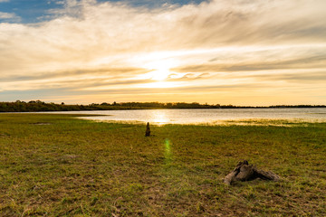 Fototapeta premium Sunset river horizon view
