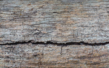 Image of cracks of natural wood surfaces