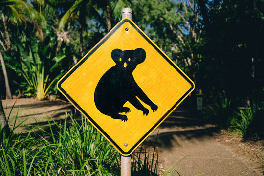 Australia, Magnetic Island, Koala Animal Crossing Sign