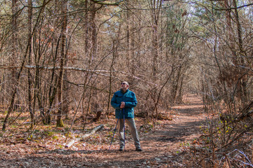 Senior sporty man of nordic walking in nature, autumn sunny forest. - Image