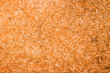 orange background
