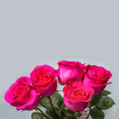 Five pink rose flowers bouquet