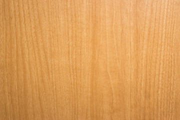 Naklejka premium Wood texture background