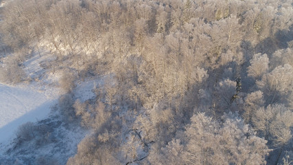 aerial view winter landscape forest covered snow, frost. Frozen branches with hoarfrost in winter forest on sunny day