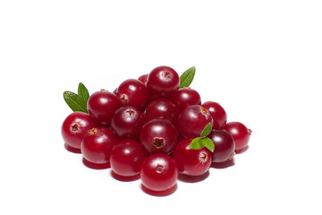 Pyramid of ripe cranberries with green leaves isolated on white