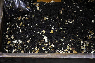 Medicinal and healing herbs