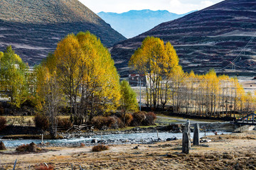 Yading national reserve in Daocheng County, in the southwest of Sichuan Province, China.