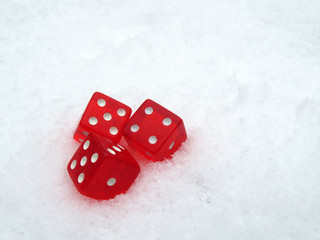 Red dice on white snow. Prohibition of gambling, fate, luck, risk or casino background