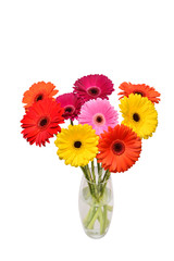 Bouquet of beautiful delicate flowers gerberas in vase isolated on white background. Fashionable creative floral composition. Summer, spring. Still life. Flat lay, top view