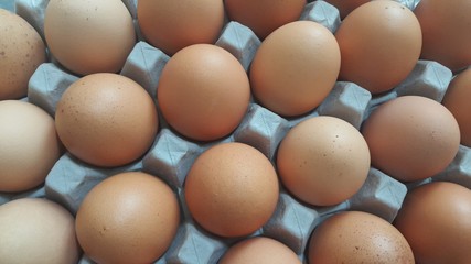Fresh farm chicken eggs in an egg-carton or egg holder placed in market for sale