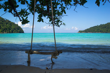 Wooden swing hanging on tree at tropical beach