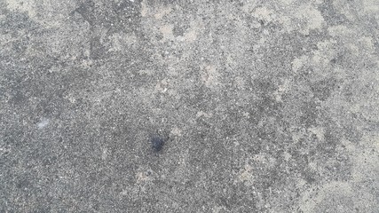 Obraz premium Grey color floor abstract background with space for text or image