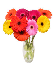 Bouquet of beautiful delicate flowers gerberas in vase isolated on white background. Fashionable creative floral composition. Summer, spring. Still life. Flat lay, top view