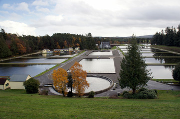 Water treatment facilities of the Vartry Reservoir in autumn.Ireland.