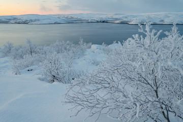 Winter landscape, trees covered with frost, shore, sea.