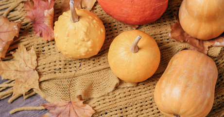 autumn composition with pumpkin, leaves, blanket, boots