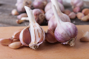 garlic on a rustic background