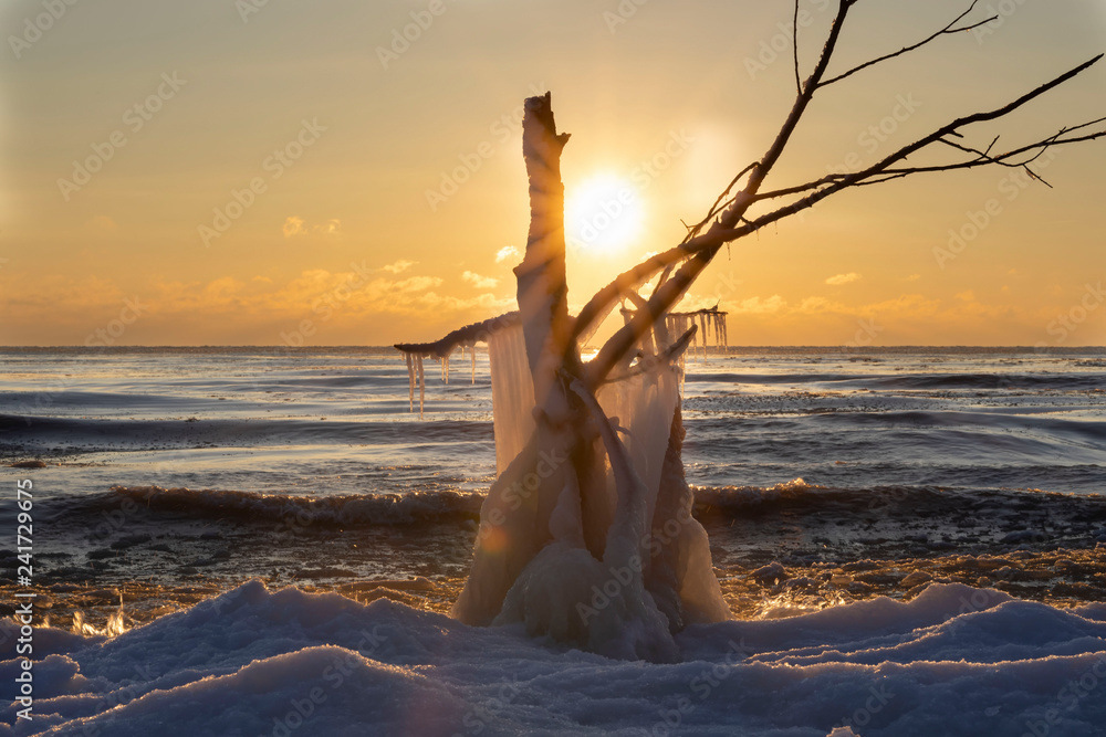 Wall mural Winter sunrise on lake Michigan