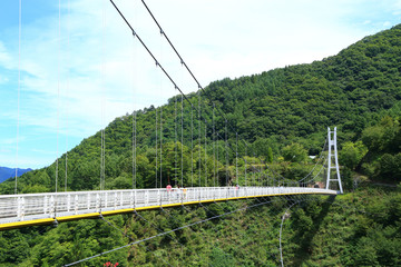 上野スカイブリッジ