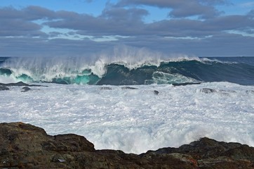 Fototapeta premium large wave seascape