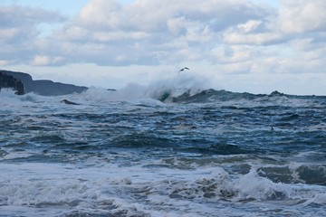 beautiful seascape with large waves along the Newfoundland coast