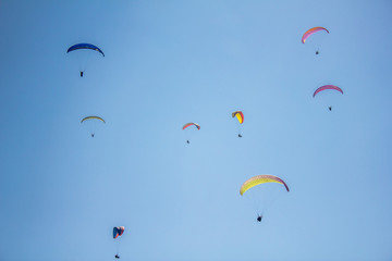 several paragliders on colorful parachutes in a clear blue sky