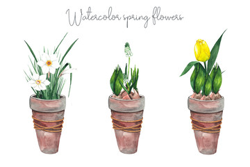 Watercolor spring easter compositions cards with green twigs, branches, blue, yellow tulips flowers, grass, flower pots, eggs, bulbs on a white background