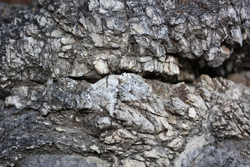 Rock Stone Texture
