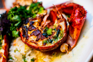 Delicious Prepared Lobster