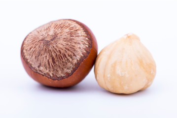 Macro photo of hazelnut in nutshell and hazelnut seed kernel isolated on white background