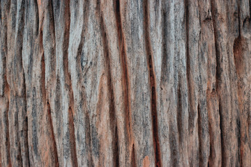 Wood texture background
