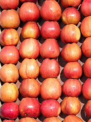 red apples in a crate as background
