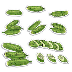 Stickers of green hand drawn cucumbers. Ink and colored sketch  on white  background.