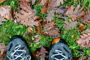 Fototapeta na wymiar zapatillas hojas de colores otoñal de la zarzamora