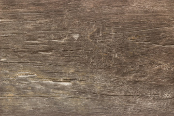 Obraz premium Wood texture background
